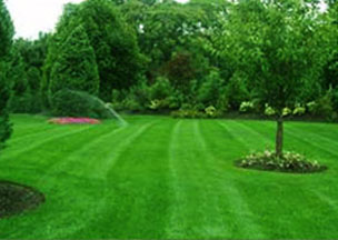 Winterize Your Long Island Lawn