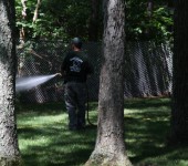 Lawn Spraying for Ticks